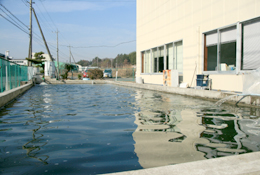 �嗢�ь�̎���r�̎ʐ^