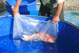 �嗢�ь�̑���̎ʐ^