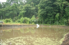 �嗢�ь�̖�r�̎ʐ^